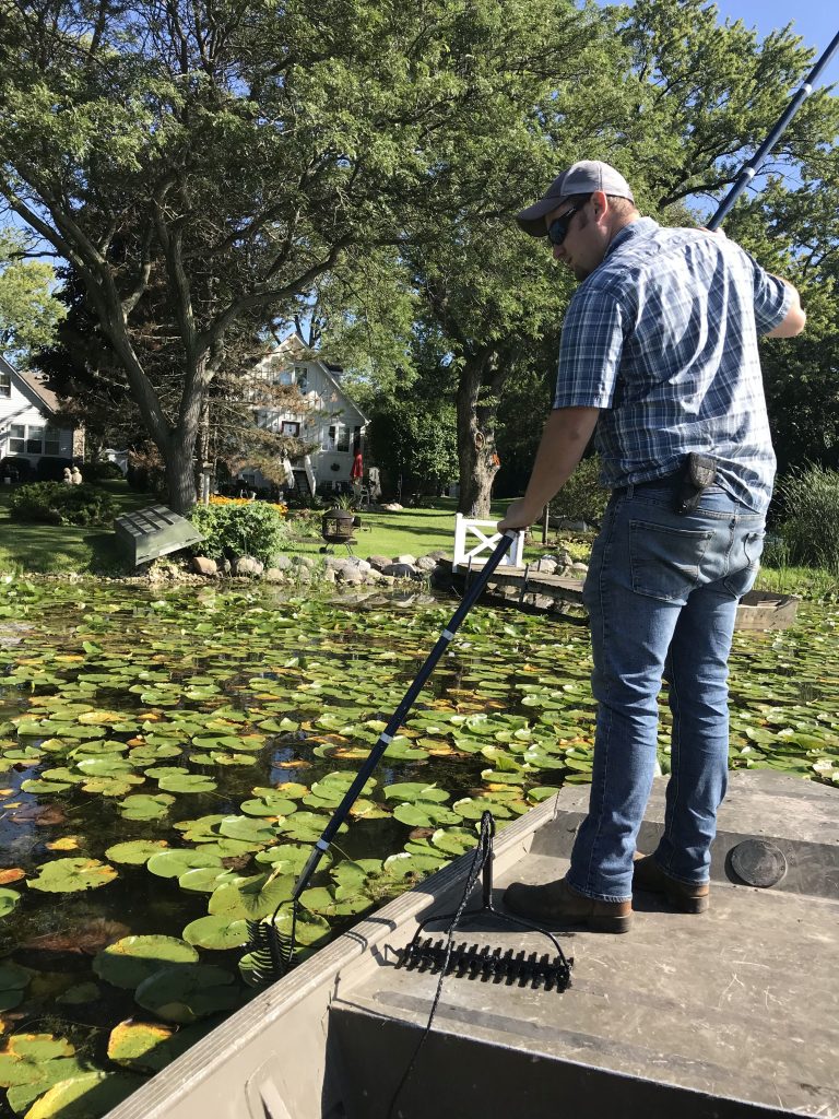 Plant Surveys Lake And Pond Solutions Co